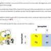 Spongebob loves growing flowers for his pal sandy. Https Encrypted Tbn0 Gstatic Com Images Q Tbn And9gcqxpixtf64ixzbtdbyb0rdrrhxt6zmsyynguxst0fyylp9zlbaf Usqp Cau