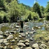 Central coast california central california swimming holes tubing river california coast ben lomond places to go san lorenzo valley santa cruz county. Big Rock Hole Redwood Grove Ox Trail Path Loop California Alltrails