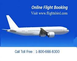 Find Your Flights From Austin Aus To Orlando Mco Many Us Destination Many Options For Flights Ticket Booking One Way T Airfare Deals Flight Ticket Jfk