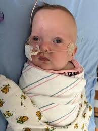 My beautiful Zoey 🩷 She is 6 months old and weighs 11 lbs 5 oz. She's come  so far since Day 1, and I'm just incredibly proud of her. 🥹 They've  continued