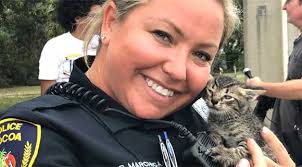 Cocoa Police Officers, Firefighters Team Up To Rescue Small Kitten Trapped  Underneath Roadway