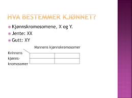 På den andre siden, slektstrær er uvurderlige for å forstå forholdet og linjene i din familie til de du har en dna match med. Ppt Dna Og Arvelaere Powerpoint Presentation Free Download Id 6565718