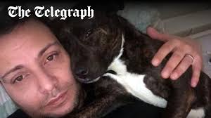 Desperate dog owner has bone to pick with council that gave his pet to new  family