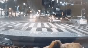 Jun 15, 2021 · 사이트 활성화를 위해 글/댓글좀 남겨주세요ㅠㅠ. Wfbcjnmz Fekom