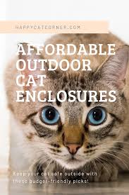Maybe you would like to learn more about one of these? Affordable Outdoor Cat Enclosures Happy Cat Corner