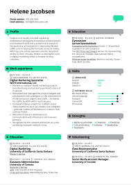 The term cv (curriculum vitae) is the british english name for this document. Professional Cv Example Kickresume