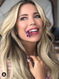 Sylvie Meis