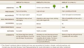 Judicious Bing Cherry Tree Pollination Chart Cherry Tree