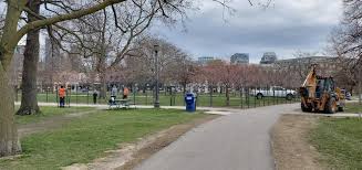 Trinity bellwoods park outdoor ice rink at trinity bellwoods park. Toronto Fences Trinity Bellwoods Cherry Blossoms Adds Enforcement During Bloom Period News