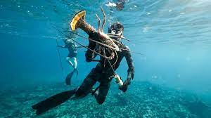 Spearfishing is a method of fishing that has been used throughout the world for millennia. Spearfishing Giant Lobster In The Bahamas Catch And Cook Youtube