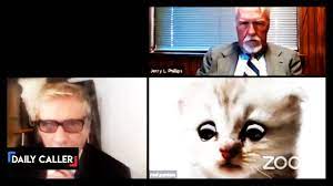 The footage quickly went viral after judge ferguson shared it on twitter writing: Lawyer On Zoom Informs Judge He S Not A Cat After Accidentally Using Face Filter The Daily Caller