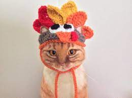 Turkey Hat For Cats Thanksgiving Hats For Cats Cat Hat Cat Costumes Pet Costumes Cats Cat Photo Prop Small Dog H Hat For Cat Hats For Cats Cat Costumes