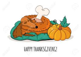 Dachshund svg file, thanksgiving images, dog costume, happy thanksgiving clipart, pilgrim hat, cricut cut files, dachshund decal. Happy Thanksgiving Greeting Card Doodle Sleeping Dachshund Dog With Roasted Turkey Leg And Pumpkin Isolated On White Background Royalty Free Cliparts Vectors And Stock Illustration Image 46698667