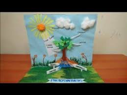 Photosynthesis Model In Plants Science Project 3d Model For Students The4pillars In 2020 Plants Science Project Photosynthesis Projects Photosynthesis Activities