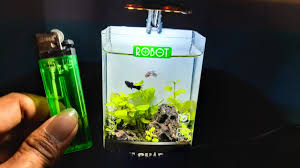 Awalnya anak saya minta di bikinin aquarium kecil untuk ikan cupang,lalu timbul ide untuk membuatkan aquarium dari botol bekas,biar kelihatan unik. Aquarium Unik Dari Barang Bekas Youtube