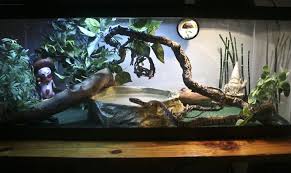Super Crazy Snake Habitat By Lita584 On Deviantart Pet Snake Snake Terrarium Pretty Snakes