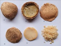 Image result for Telfairia pedata