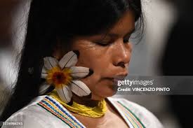 285 Patricia Pan Photos & High Res Pictures