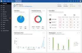 Zoho Projects Review 2019 Pricing Features Shortcomings