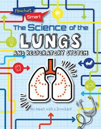 the science of the lungs and respiratory system flowchart