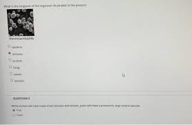 Maybe you would like to learn more about one of these? What Is The Kingdom Of The Organism Illustrated In Chegg Com