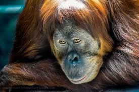 Landscape and nature photography...