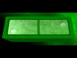 We did not find results for: Cytokinesis Animal Plant Biology Genetics Youtube