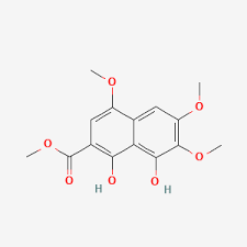 Image result for Rhodopentas bussei