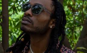 Meet Savannah Stephens