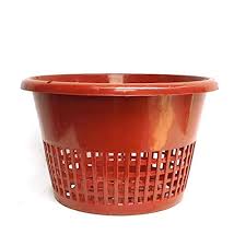 Like its name states, bauhinia blakeana originates from hong kong as far back as 1880 and was regularly cultivated in gardens as early as 1914. Orchid Tree Plastic Hydroponics Pot Brown 20 Cm X 20 Cm X 12 Cm 3 Pieces Buy Online In Angola At Angola Desertcart Com Productid 76813795