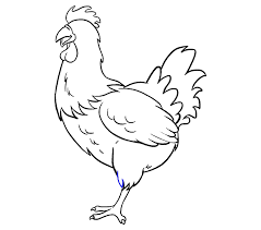 How to draw chicken and chick, very easy step by step ! How To Draw A Cute Chicken In A Few Easy Steps Easy Drawing Guides