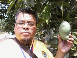 Pasar raya dibenarkan namun terhad kepada sektor keperluan asas sahaja seperti makanan, makanan haiwan dan yang disebutkan di atas. Kenangan Harumanis Perlis Kendatipun Hanya Catatan Peribadi