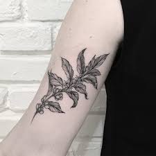 The only thing that will stay with you forever is your tattoo till ur grave! Tattoo Uploaded By Tattoodo Coffee Bean Branch Tattoo By Terryemi Terryemi Coffeetattoos Illustrative Blackandgrey Coffeebeans Dotwork Linework Nature Caffeine Coffee 577001 Tattoodo