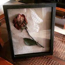 How to preserve dried flowers in 2 different styles. Pressed Rose Flowers Picture Dried Flowers Diy Pressed Flower Art Picture Frames Pressed Flowers Diy