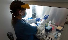 Ivermectin is a medication used to treat many types of parasite infestations. What Is Ivermectin And Should We Be Using It To Treat Covid 19 Health The Guardian