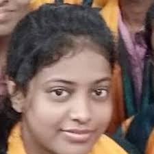 Appropriate electrolyte for MoSe2 and VSe2 based electrodes?