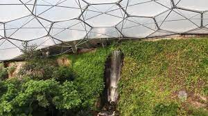 Eden project, inside the mediterranean biome at the eden. Rainforest In The Eden Project Youtube