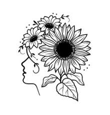 Drawings of sunflowers in pencil. Sunflower Sketch Vector Images Over 2 200