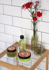 I'm thinking these will come into their own when the sun is high. Passing Fancy How Does Cactus Smell Like The Body Shop Cactus Blossom