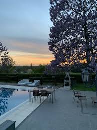 Paulownia Tree Kemer Golf And County Club Istanbul Turkey