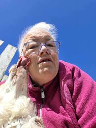 The Lodge Boarding Kennels