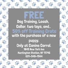 This spring, a new yoga studio called humming puppy opened in the flatiron district. Puppies For Sale Long Island New York Suffolk Nassau Brooklyn