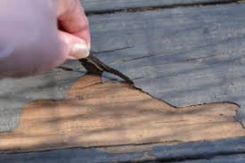 We did not find results for: The Problem With Deck Over And Deck Restore Products Callan S Pristine Services Fairfax Loudoun Manassas Area Power Washing Deck Staining Power Washing Near Me