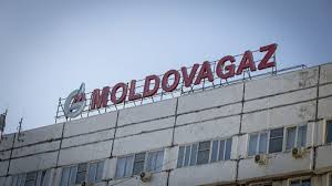 Named andre, the seal turns out to be a real handful when he constantly gets into trouble. Agora Anre A Depistat Mai Multe IncÄƒlcÄƒri In Activitatea Moldovagaz Cheltuieli Ineficiente In SumÄƒ De 3 56 Milioane De Lei