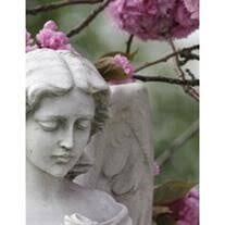 Rosemary J. DiTaranto Obituary