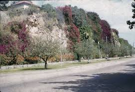 1959 The Strand Townsville Queensland Places Townsville Places Australia