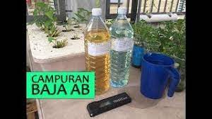 Menyediakan semua jenis baja lokal dan impor untuk. Cara Bancuh Baja Ab Hobihidroponik Bajaab Youtube