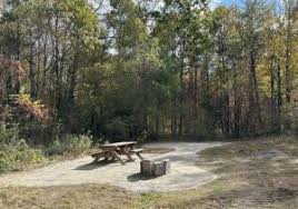 Lake George Wild Forest Archives