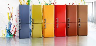 ثلاجة نورد 98 صورة ثلاث غرف Vita Nova بدون فروست من الشركة المصنعة استعراض