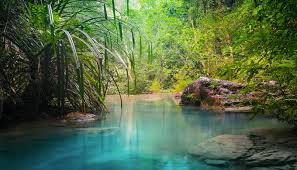 Where was Eden? Part 1